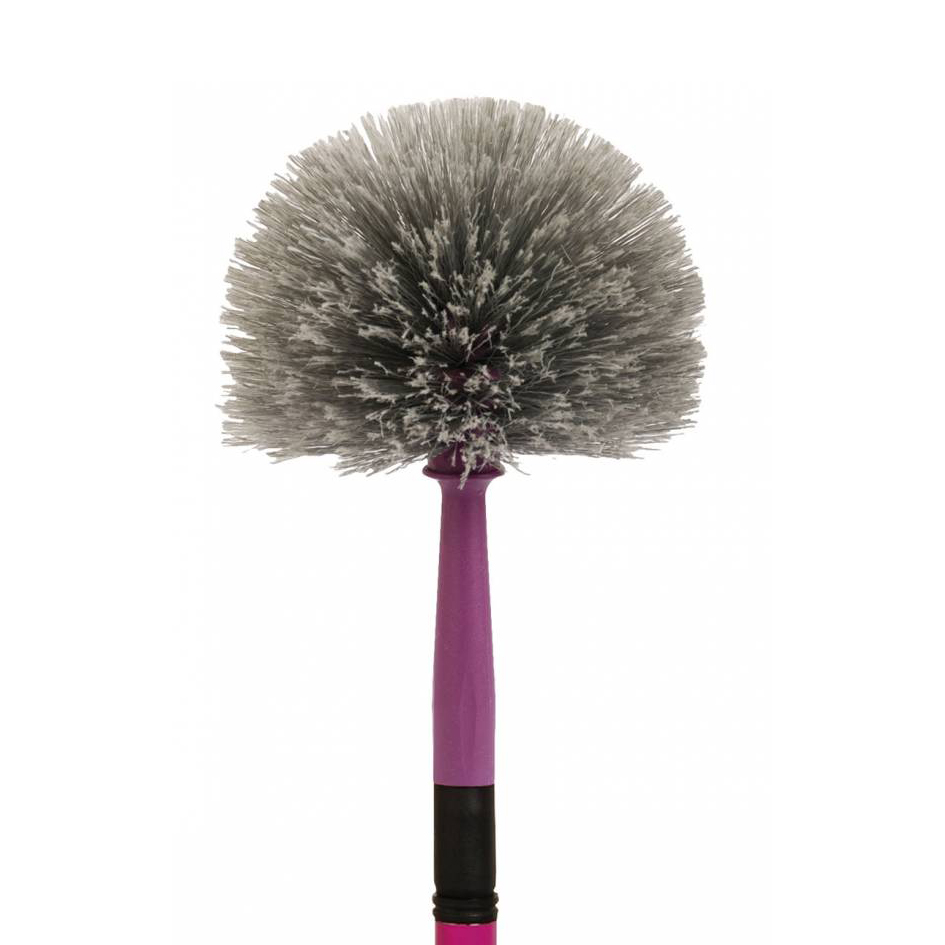 Ragnatore a palla con manico telescopico